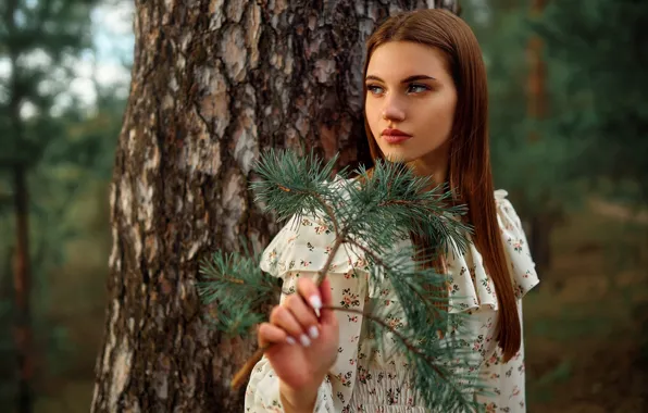 Picture look, girl, face, pose, tree, hand, branch, long hair