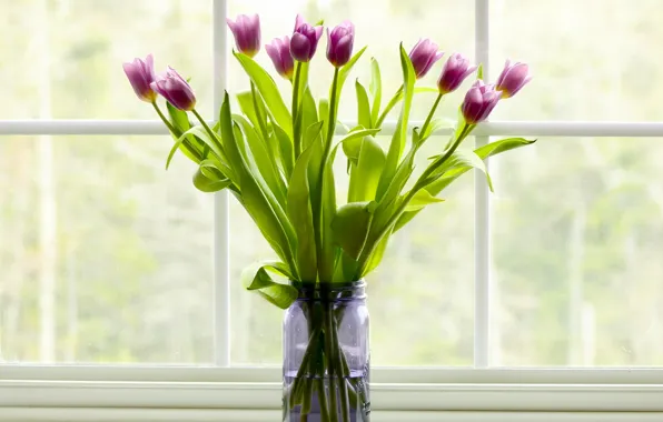 Bouquet, window, Bank, tulips
