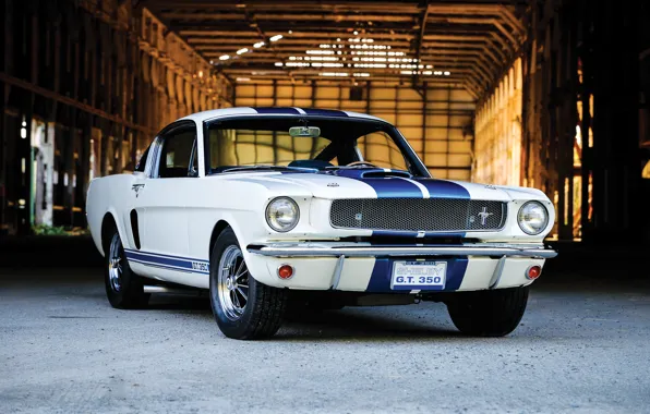 Mustang, Ford, muscle car, Ford Mustang Shelby GT350