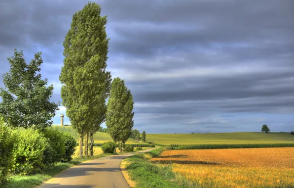 Road, field, trees, France, France, Lorraine, Lorraine, Trie