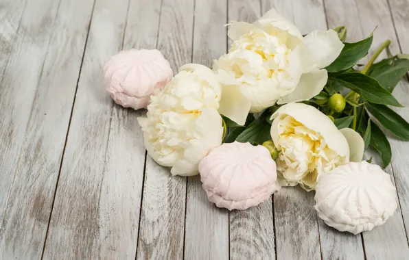 Picture white, buds, wood, flowers, romantic, peonies, marshmallows, peonies