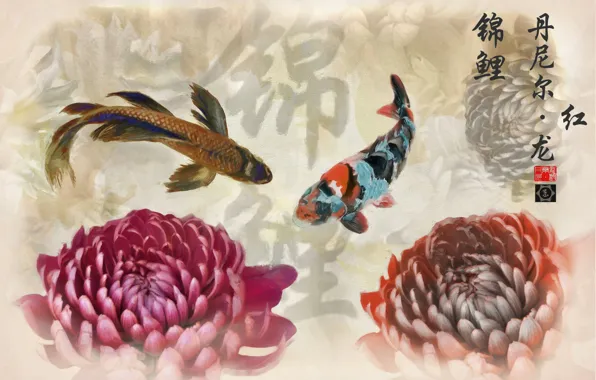 Fish, Japan, characters, chrysanthemum, koi