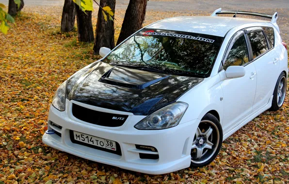 Machine, autumn, leaves, tuning, white, white, Toyota, front