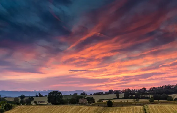 Picture field, sunset, Italy, Sunset, Tuscan