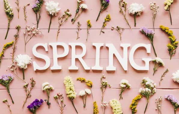 Flowers, background, pink, spring, pink, flowers, spring, purple
