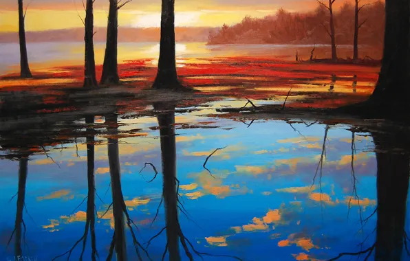 Picture forest, water, trees, nature, lake, reflection, sunrise, dawn