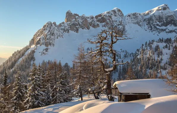 Picture winter, forest, snow, mountains, Austria, Alps, house, Torsten Muehlbacher photography