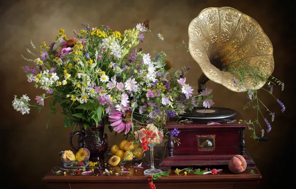 Bouquet, gramophone, peach, currants, apricots, Echinacea, mallow