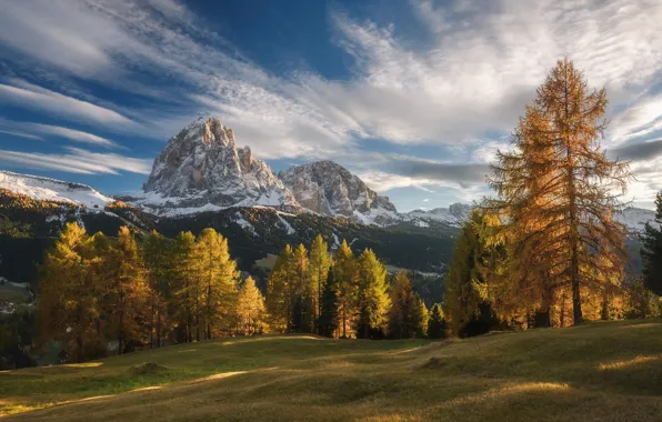 Picture autumn, forest, the sky, clouds, light, mountains, Alps