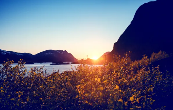 The sun, sunset, flowers, mountains, lake, bright, the bushes