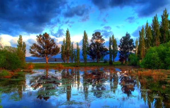 Picture the sky, clouds, trees, reflection, river, HDR, New Zealand, New Zealand