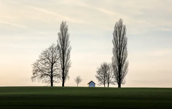 Field, trees, home