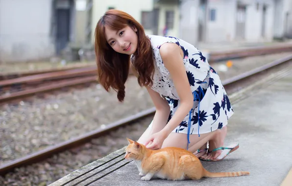 Picture cat, girl, Asian