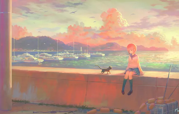 Sea, the sky, kitty, seagulls, ships, girl