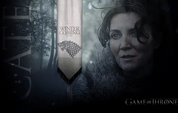 Sword, Game of thrones, the game of thrones, Catelyn Stark, the severity