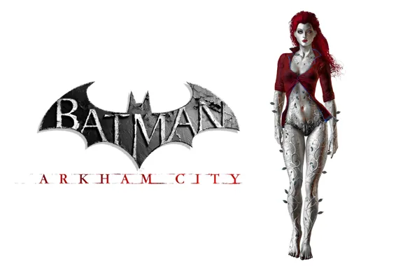 Picture girl, fantasy, game, Batman, Arkham City, Batman Arkham City, superhero, DC Comics