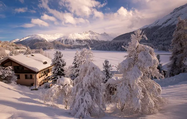 Winter, snow, trees, landscape, mountains, nature, house, Switzerland