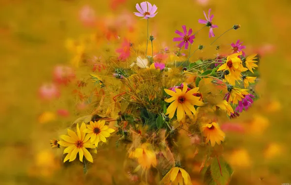 Autumn, bouquet, petals, stem