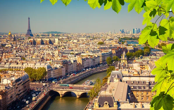 Picture leaves, branches, river, France, Paris, home, Eiffel tower, bridges