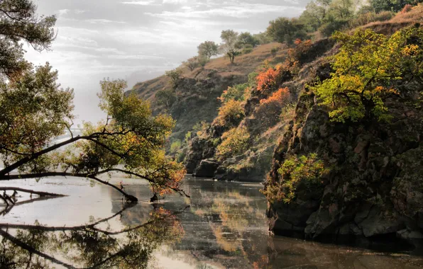 Leaves, trees, river, island, Dnepr, Zaporizhia, Khortytsya
