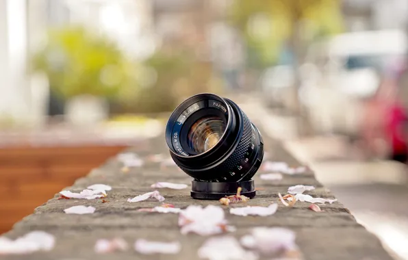 Picture street, lens, petals, Fujinon