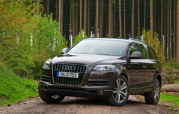 Picture road, forest, Audi, Audi
