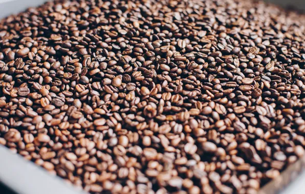 Grain, Coffee, A bunch, A lot, Coffee beans, Coffee, Close-up, Grain