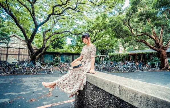 Picture look, hat, dress, Asian