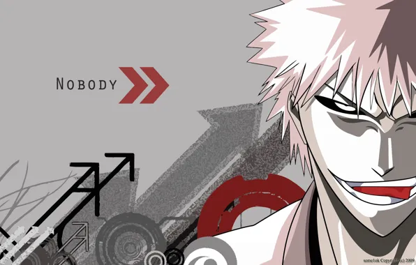 Bleach, Bleach, empty, Hichigo