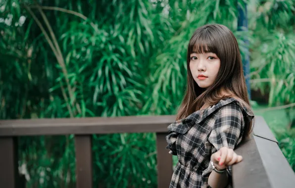 Look, girl, Asian, cutie, bokeh