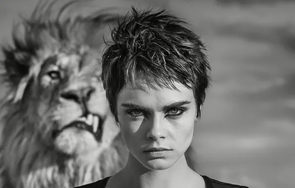 Look, background, portrait, Leo, actress, hairstyle, black and white, beauty