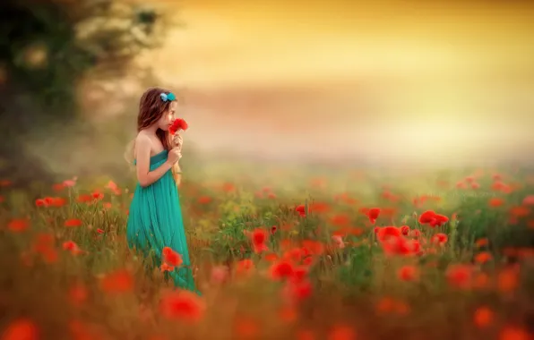 Picture field, flowers, Maki, girl