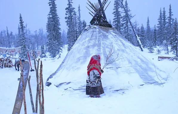 Winter, forest, snow, in the snow, the situation, frost, girl, the snow