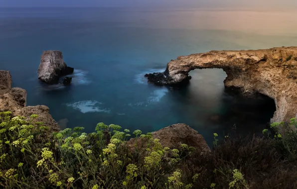 Sea, landscape, sunset, nature, rocks, shore, vegetation, arch