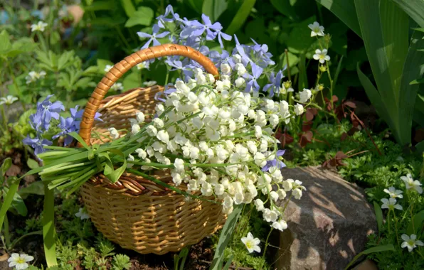 Basket, lilies of the valley, periwinkle