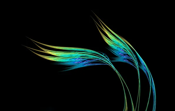 Wallpaper grass, line, the wind, Wallpaper, plant, feather images for ...