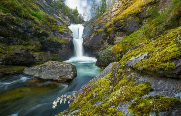 Picture stones, rocks, for, waterfall, moss, Norway, river, Norway