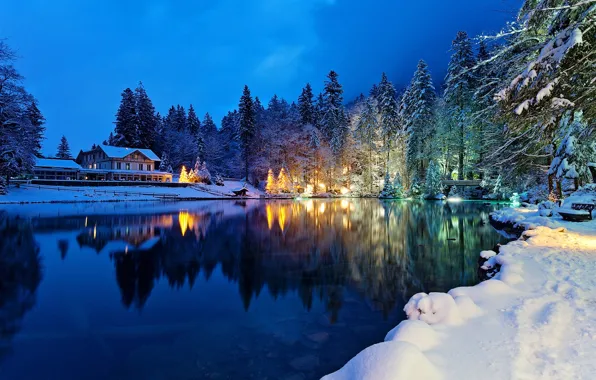 Picture winter, forest, snow, trees, lights, lake, house, the evening