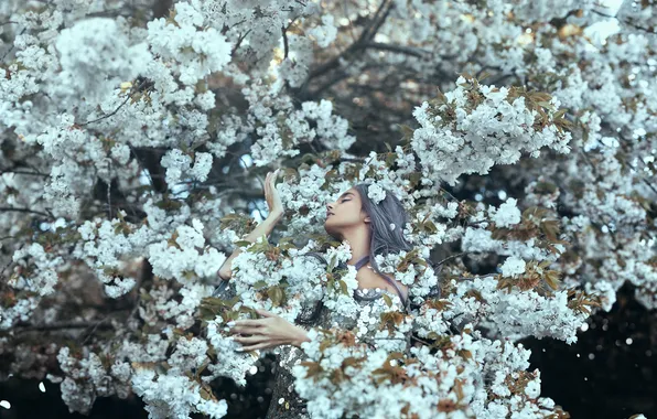 Girl, flowers, branches, cherry, pose, style, tree, spring