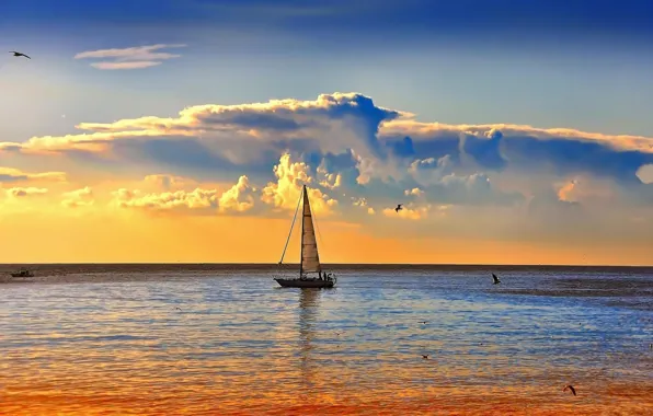 Picture sea, boat, the evening, sail