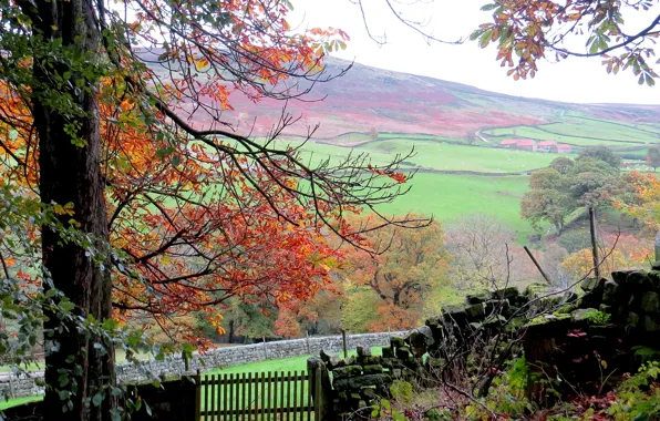 Picture autumn, trees, mountains, colors, trees, Autumn, mountains, fall