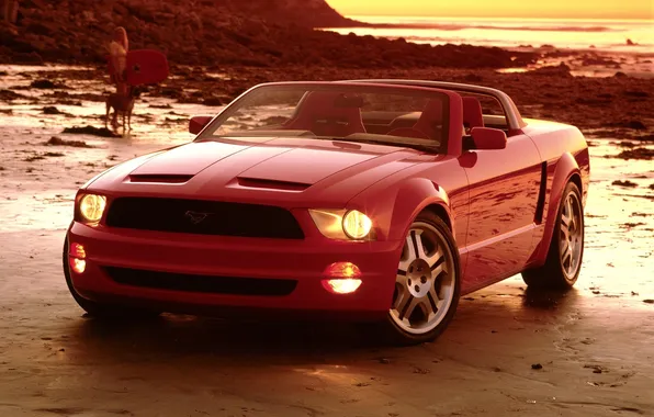 Picture 2003, Mustang GT, Convertible Concept