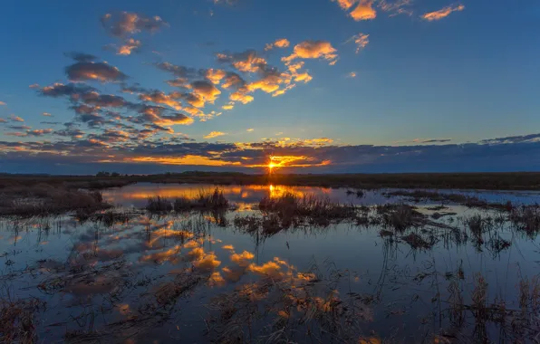 Picture sunset, swamp, South Ural