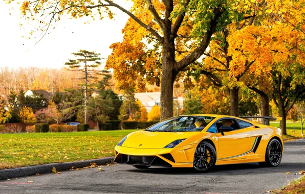 Autumn, Lamborghini, supercar, Gallardo, yellow, Lamborghini, Gallardo
