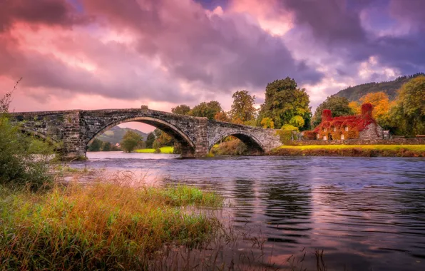 Autumn, the sky, bridge, nature, river, home, Wales