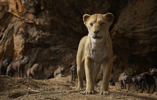 Picture hyena, lioness, The Lion King, The Lion King, Nala