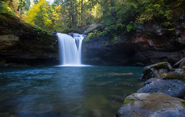Picture forest, Oregon, waterfall river, the South Fork Coquille River, Coos County