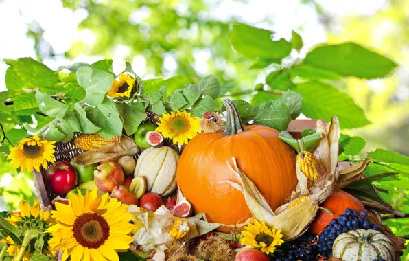 Autumn, food, fruit, vegetables