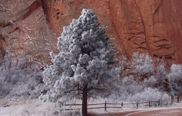 Frost, road, mountains, tree, rocks