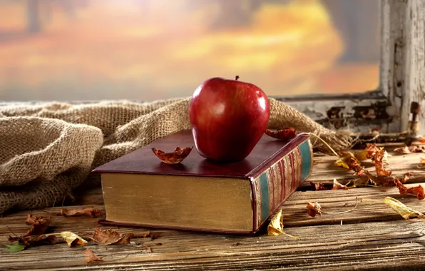 Picture autumn, leaves, table, background, Apple, window, dry, book